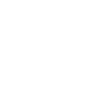 4、出具报告